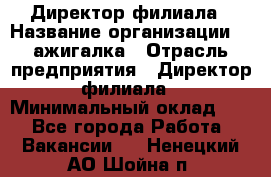 Директор филиала › Название организации ­ Zажигалка › Отрасль предприятия ­ Директор филиала › Минимальный оклад ­ 1 - Все города Работа » Вакансии   . Ненецкий АО,Шойна п.